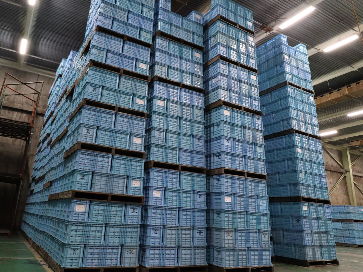 ＪＡ相馬村　氷温帯冷蔵設備