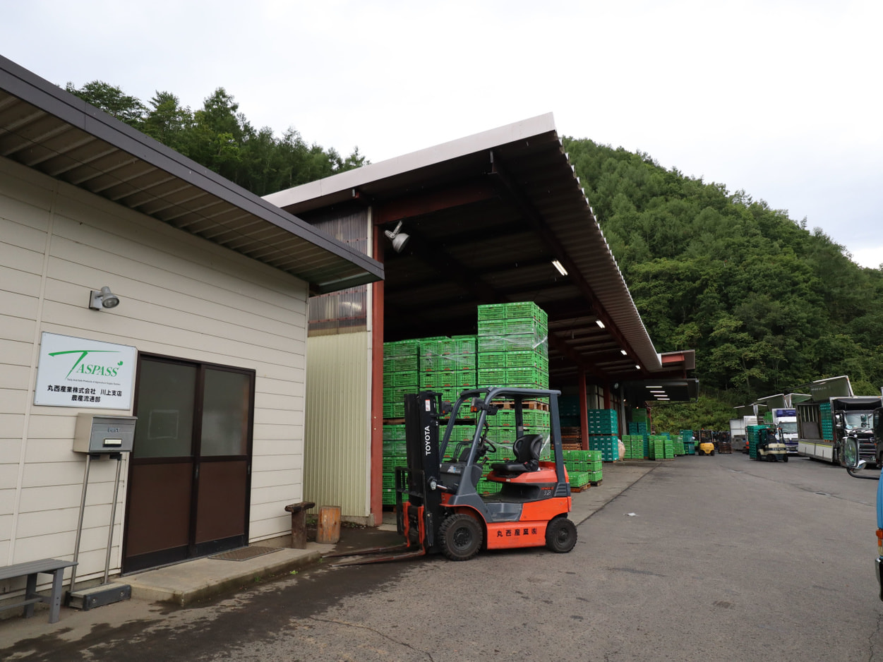 TASPASS川上　集荷場