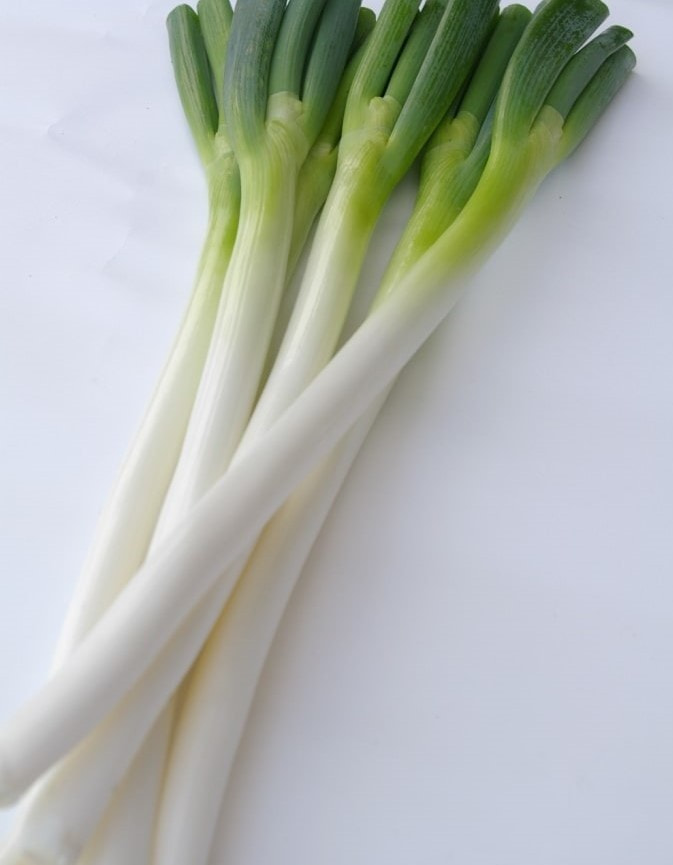きれいな白神ネギ