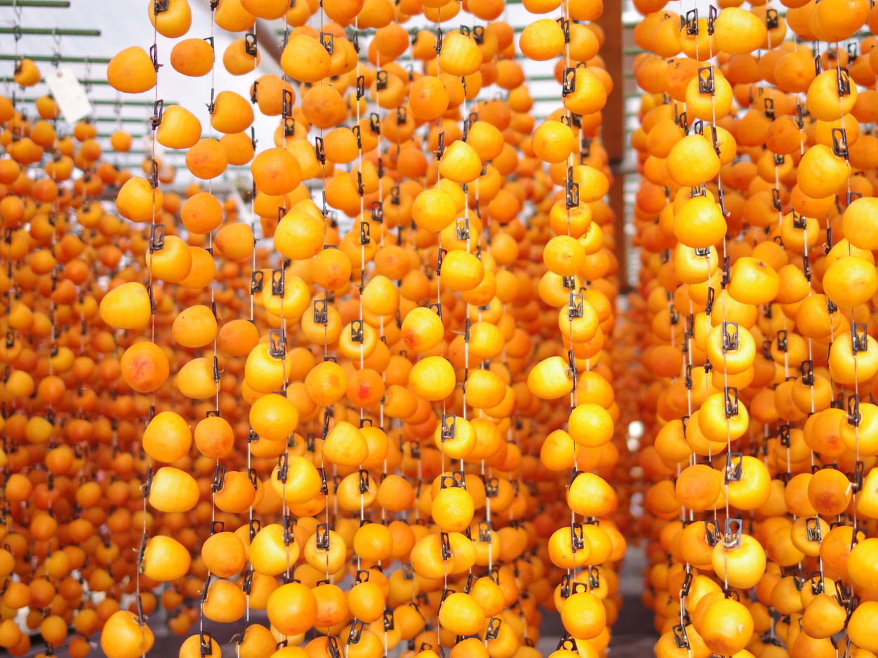 フレック丸西　市田柿の天日干し