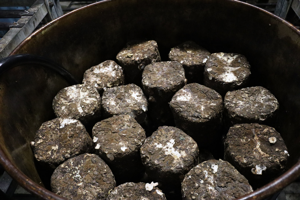 ＪＡ秋田やまもと　オガをドラム缶に