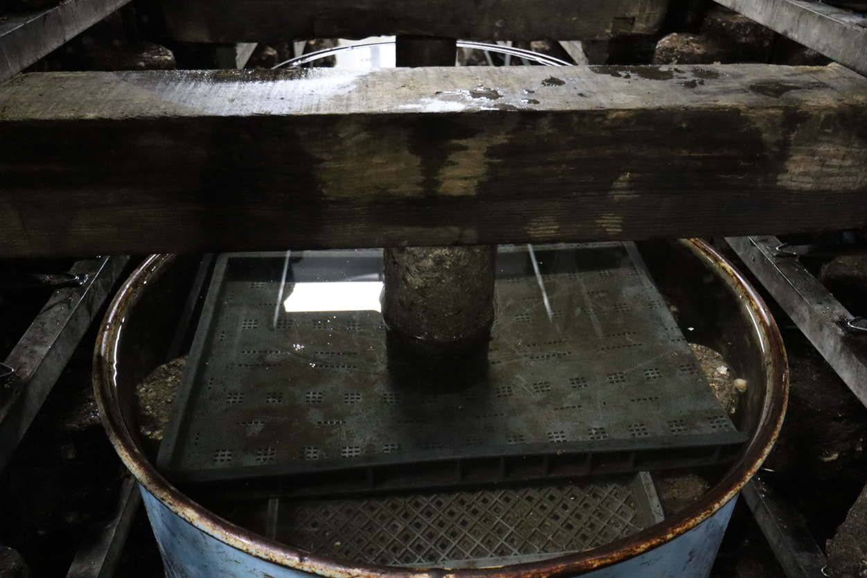 ＪＡ秋田やまもと　オガの浸水