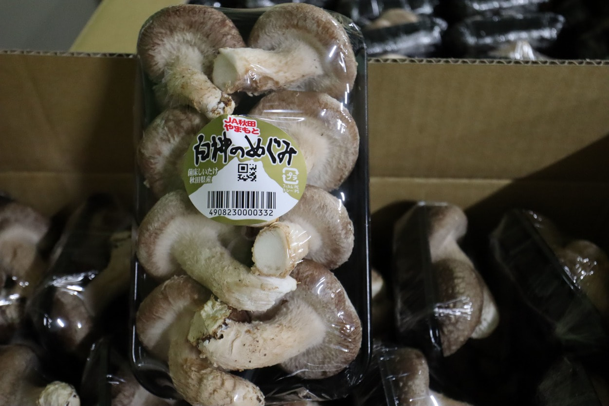 ＪＡ秋田やまもと　生椎茸パッケージ