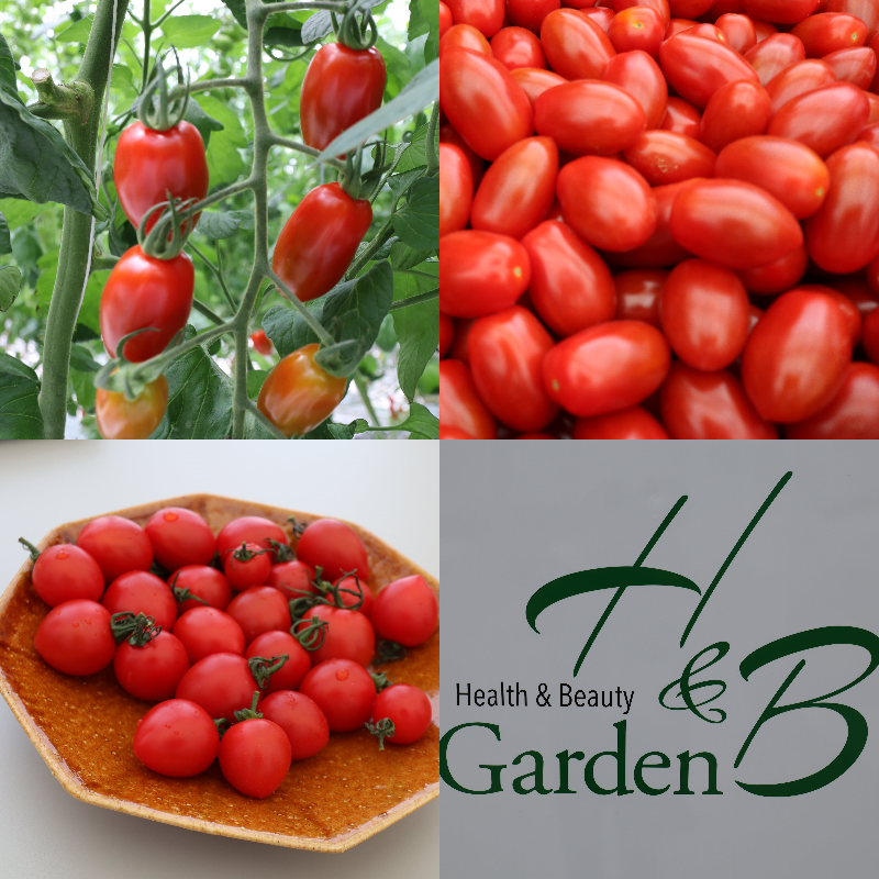 H&Bガーデン　ロゴ