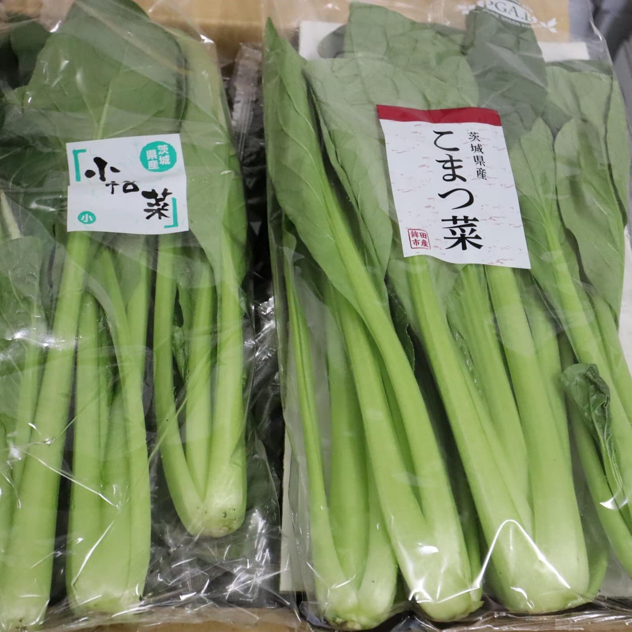 ピュアグリーンアグリ　小松菜パッケージ