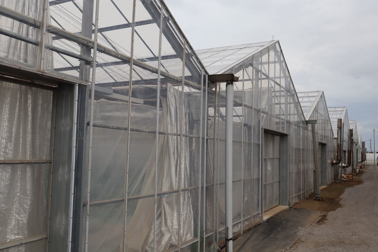 ピュアグリーンアグリ　ハウス外観