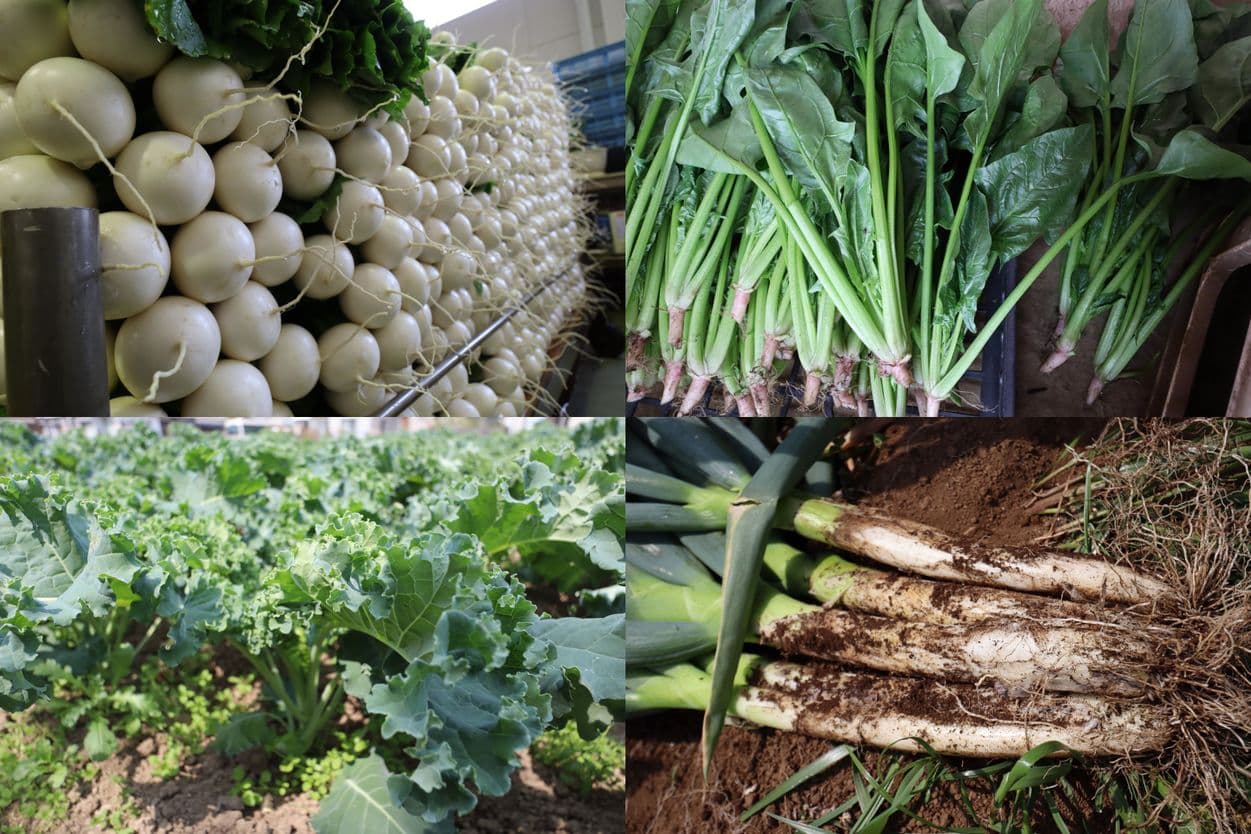 松戸周辺の生産物