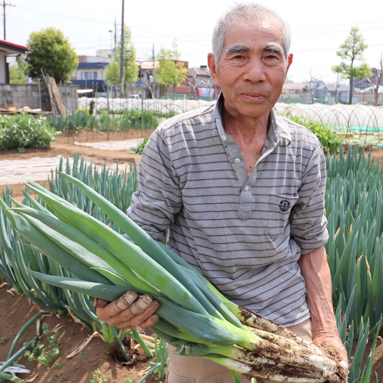 大橋地区　高橋農園