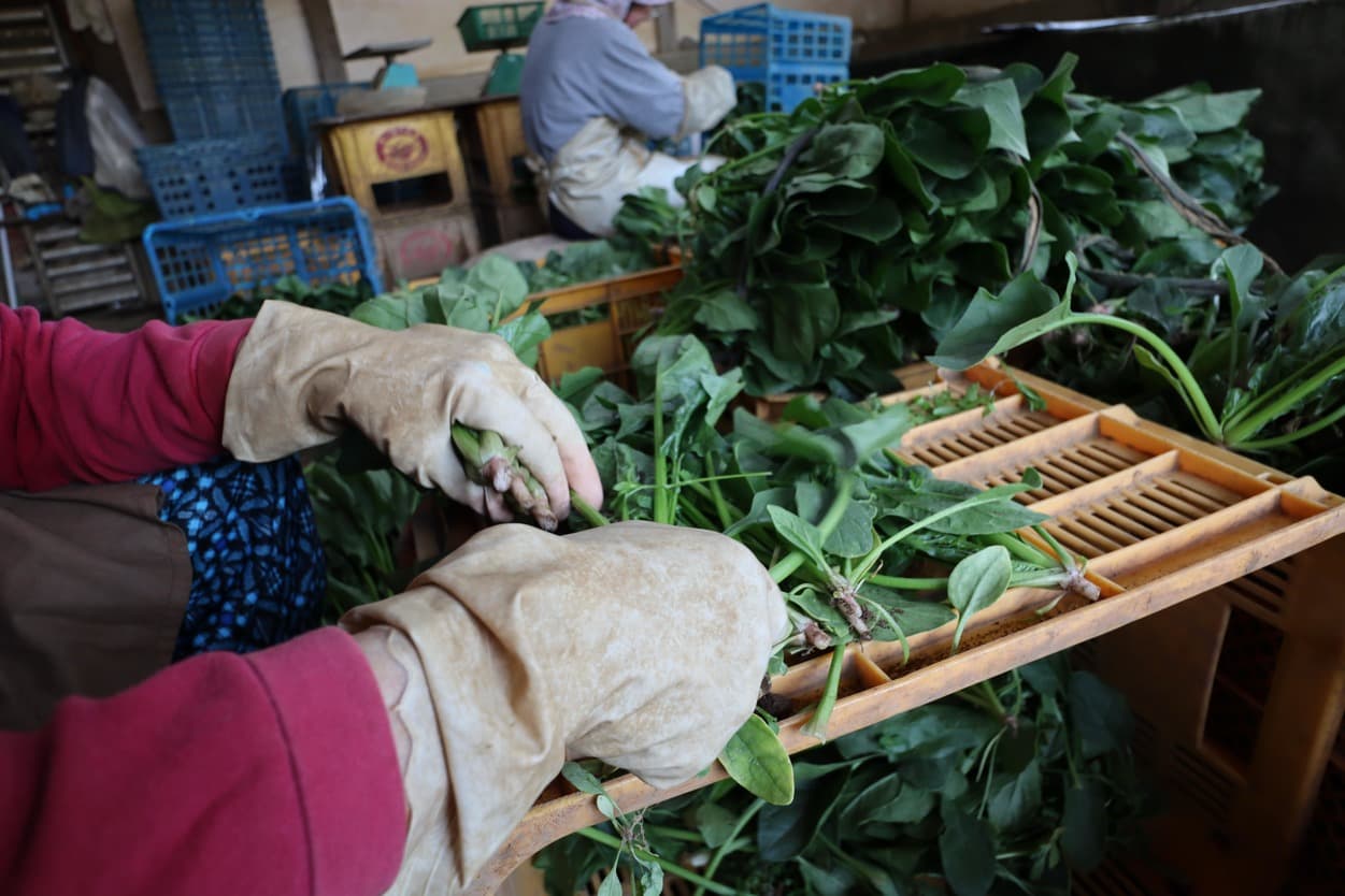 高橋農園　作業場
