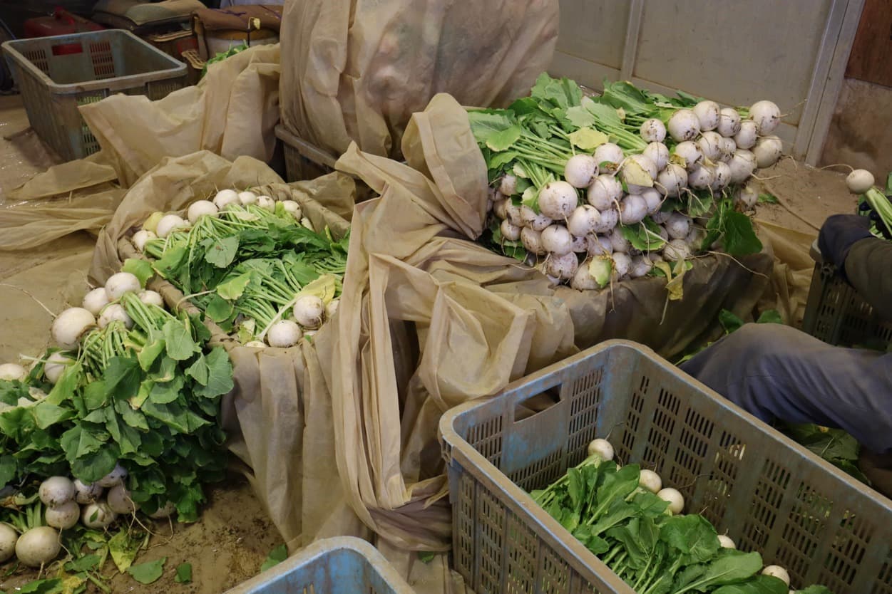 湯浅農園　かぶ　結束