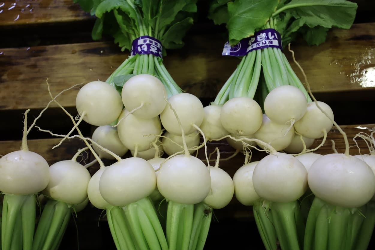 湯浅農園　かぶ　水洗い後