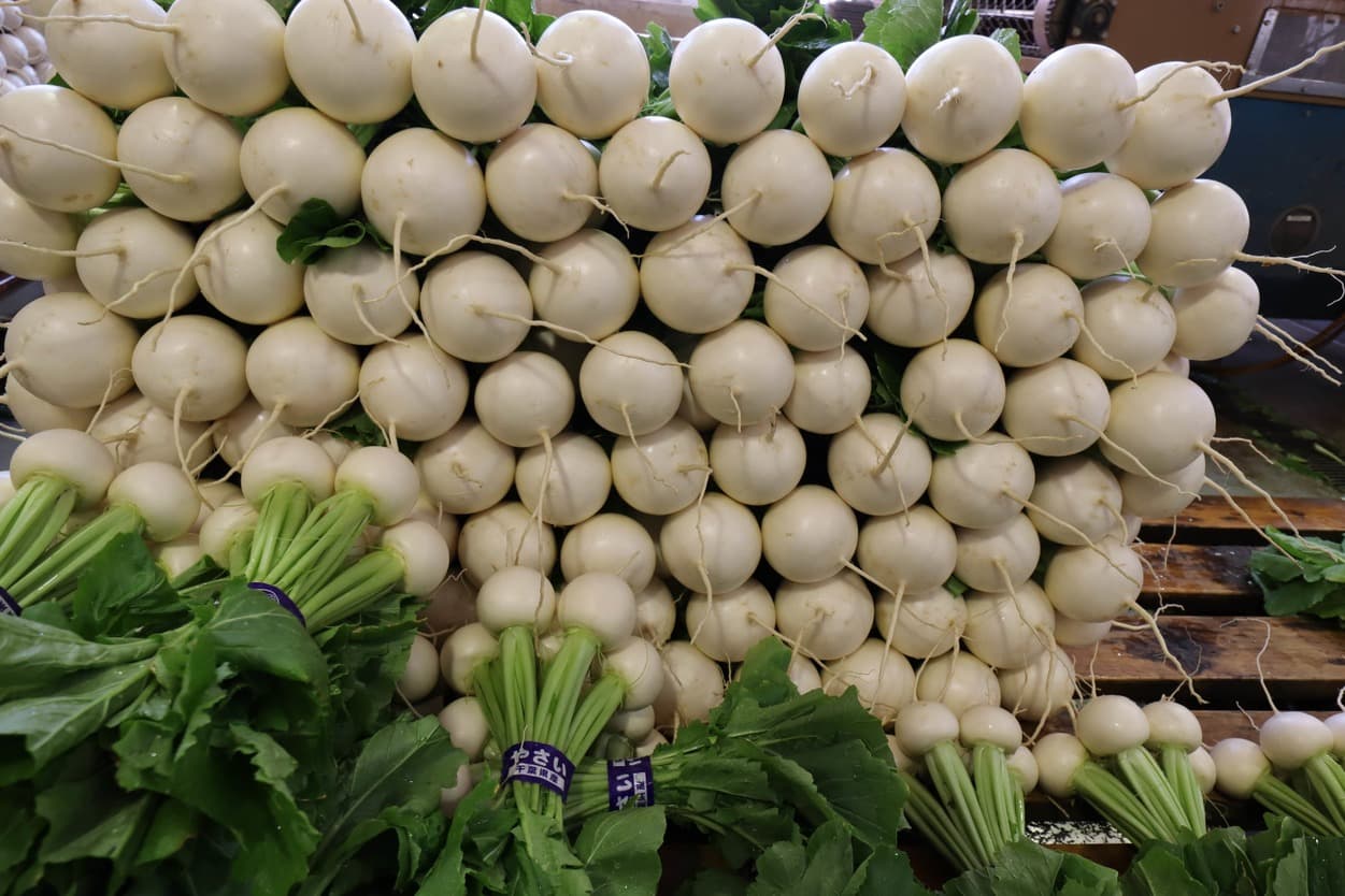 湯浅農園　かぶ　白い