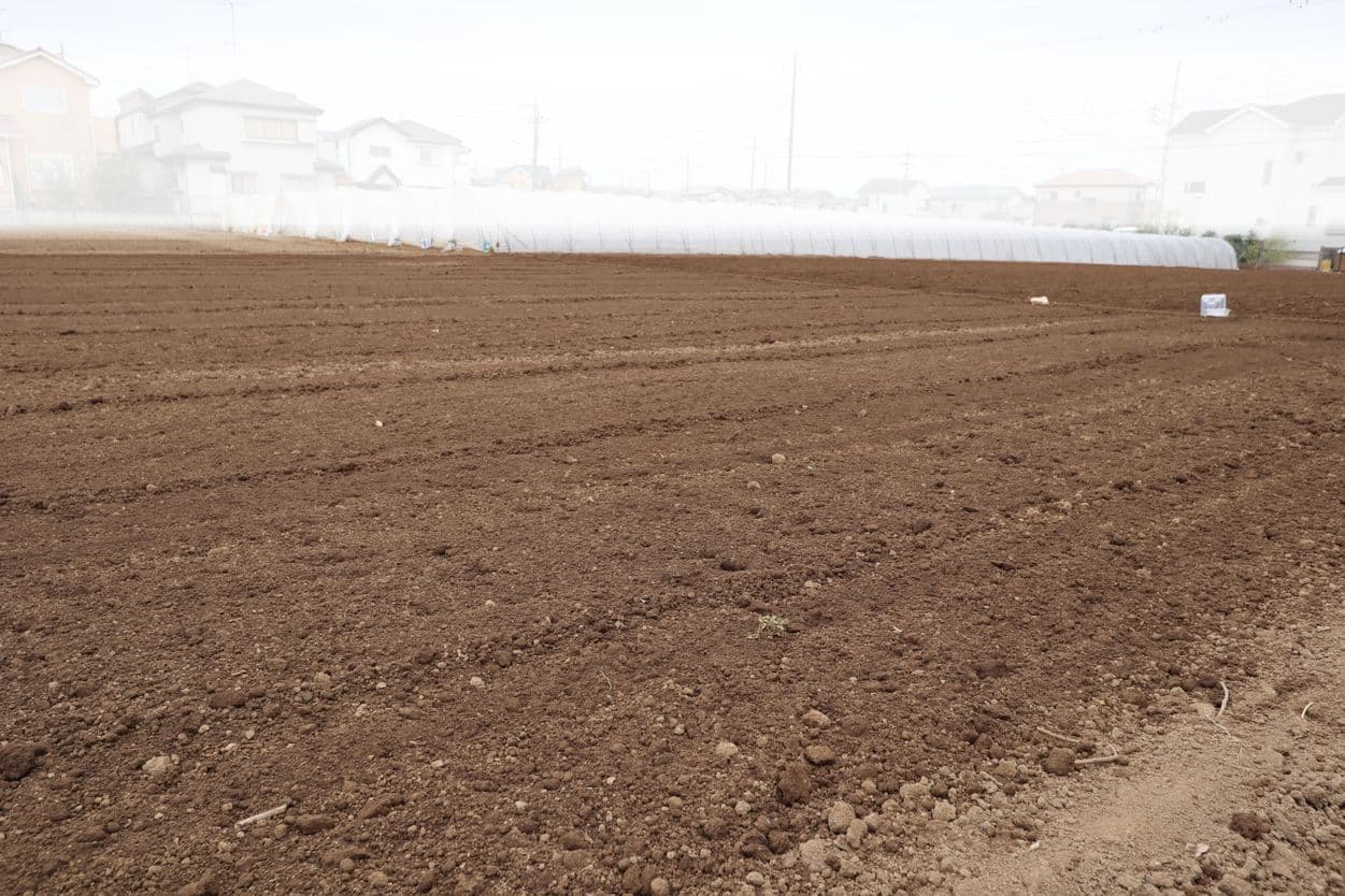 石井農園　圃場