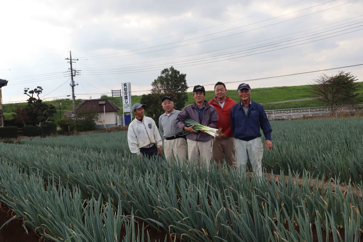 矢切ねぎ　生産者さん