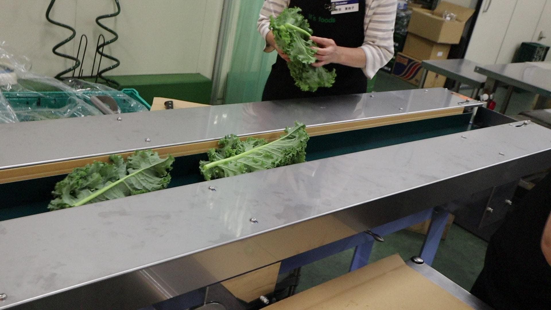 エムズフーズ　カリーノケール包装機