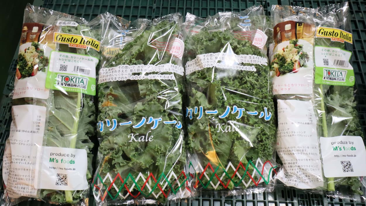 エムズフーズ　カリーノケール