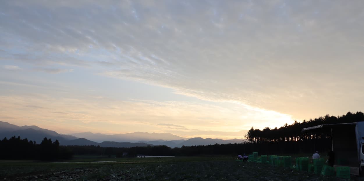 昭和村　吉野農園の朝焼け