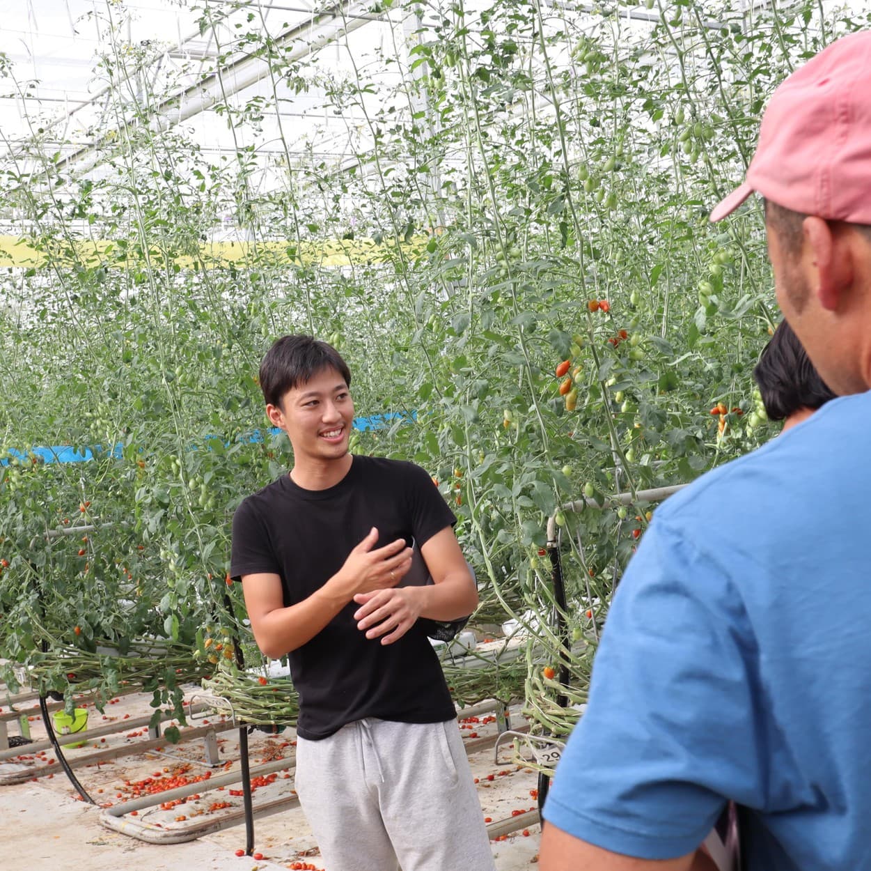 産地交流会　近藤さん