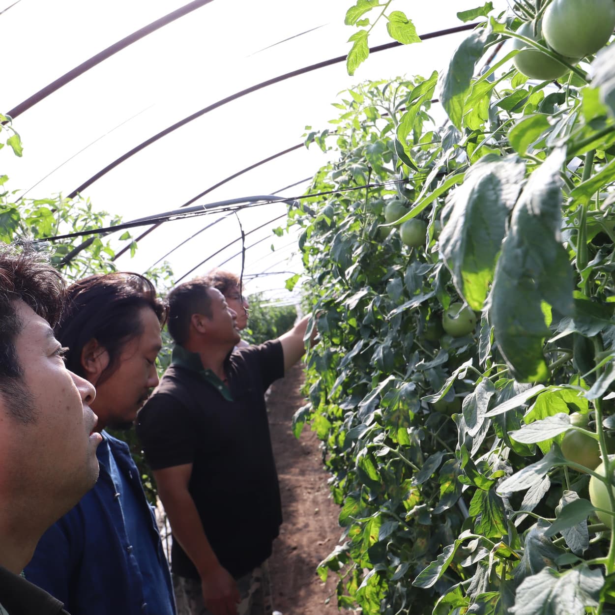 産地交流会　金子農園