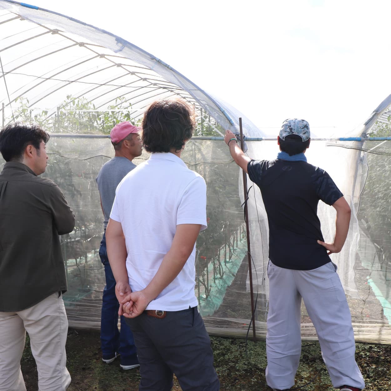 産地交流会　加藤農園