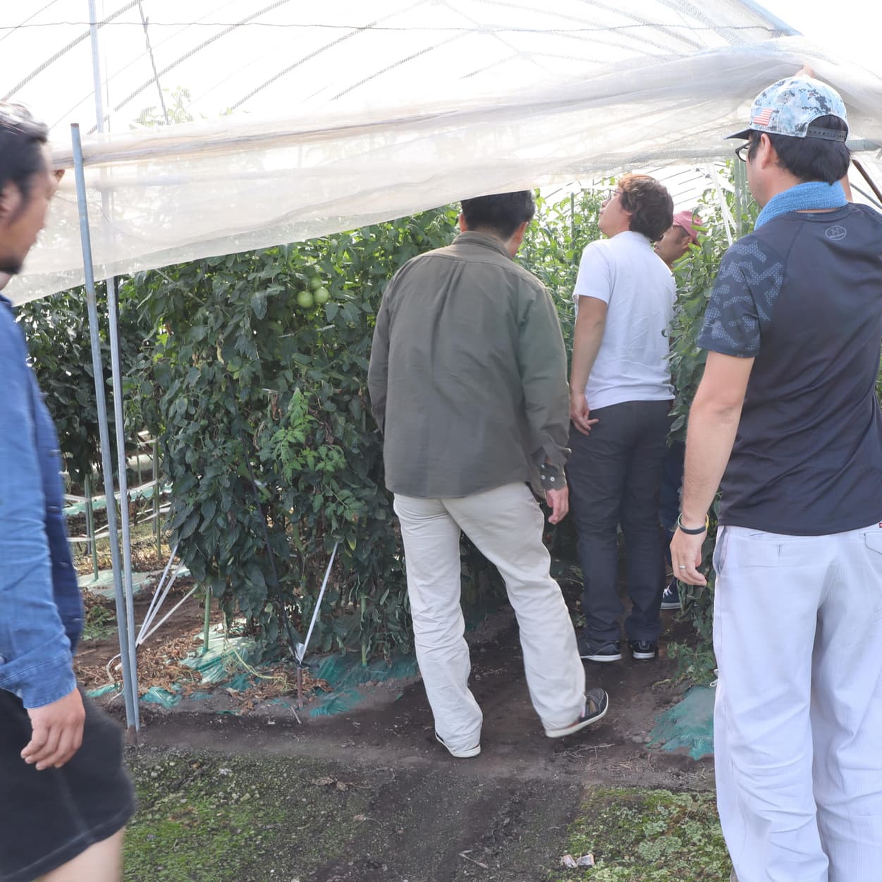 産地交流会　加藤農園