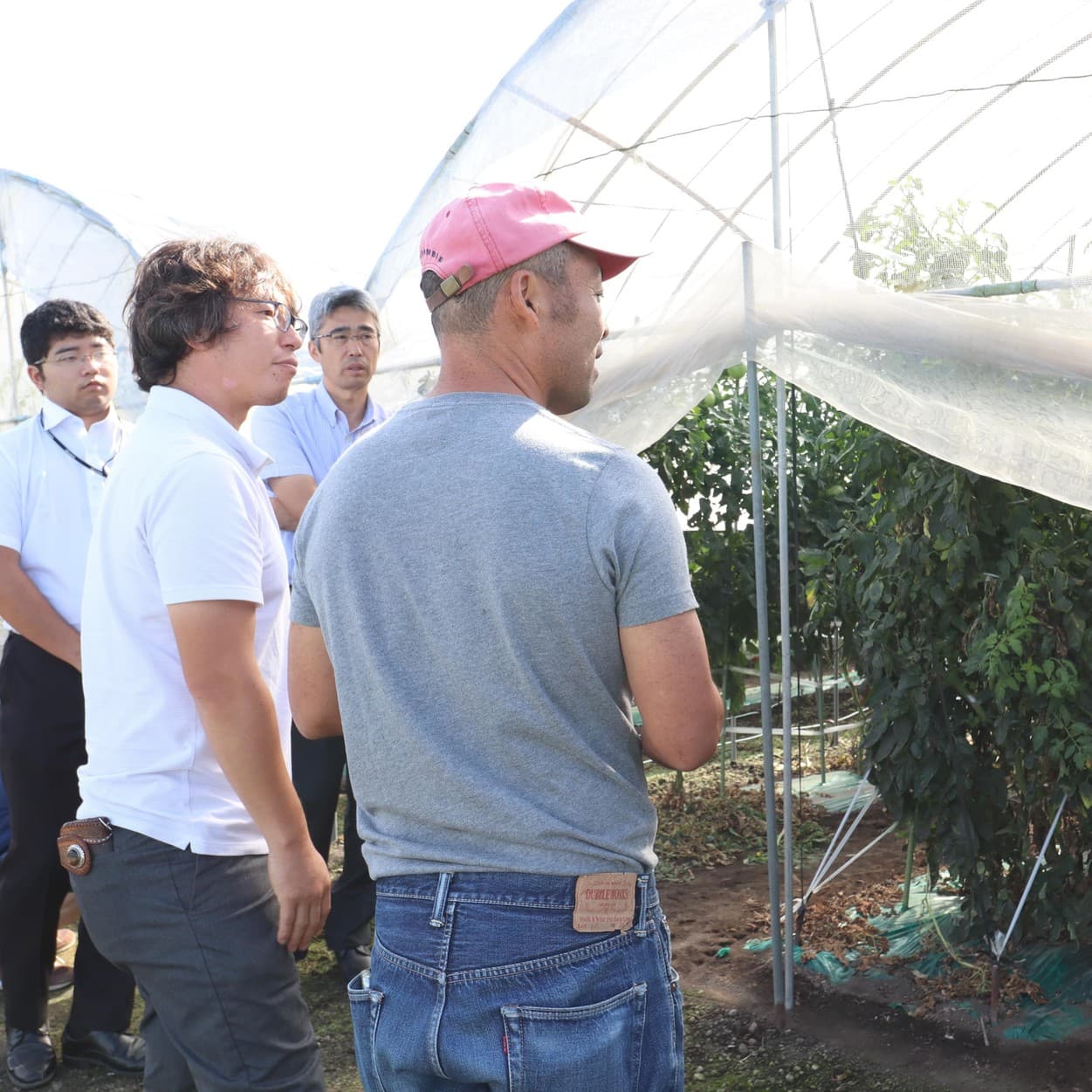 産地交流会　加藤農園