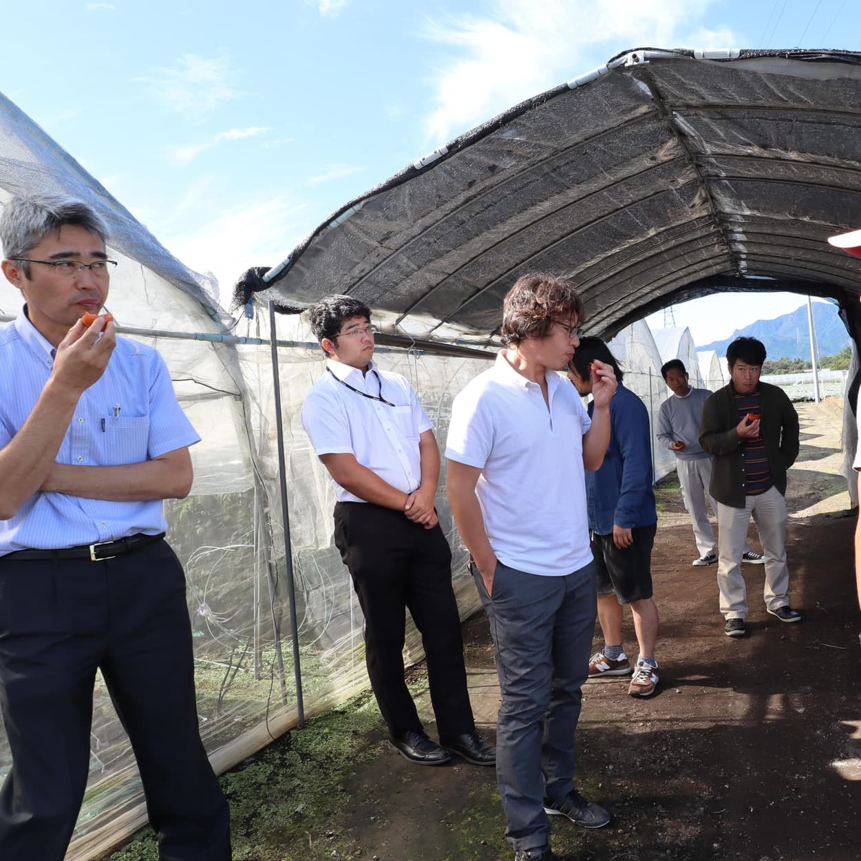 産地交流会　加藤農園