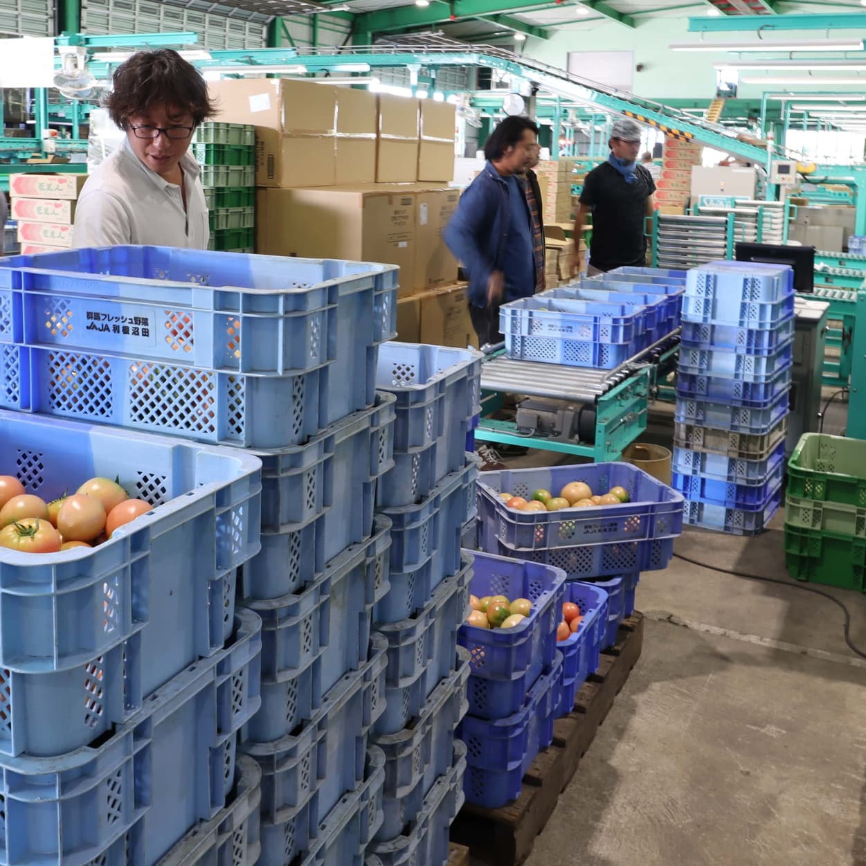 産地交流会　ＪＡ利根沼田トマトセンター