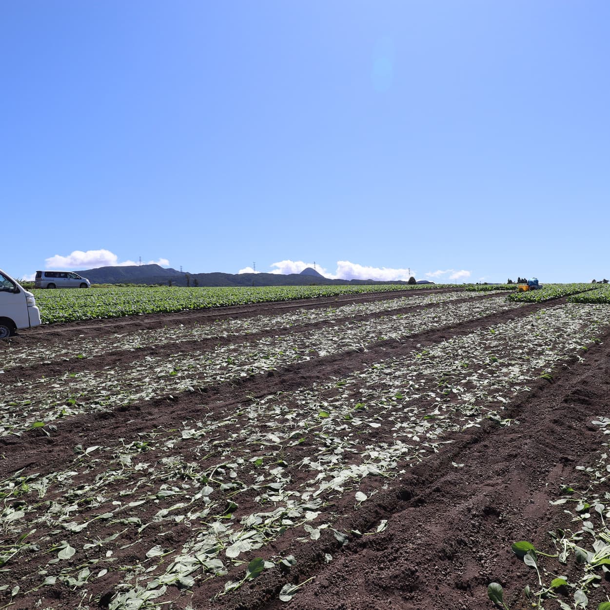 産地交流会　角田農園