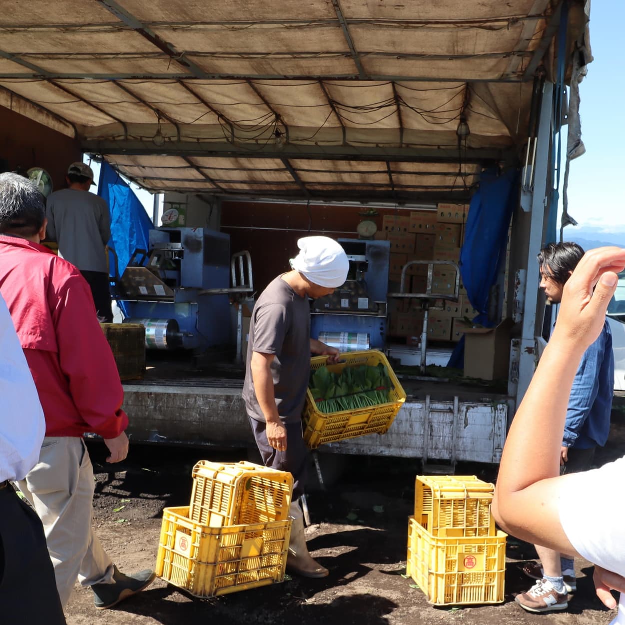 産地交流会　角田農園