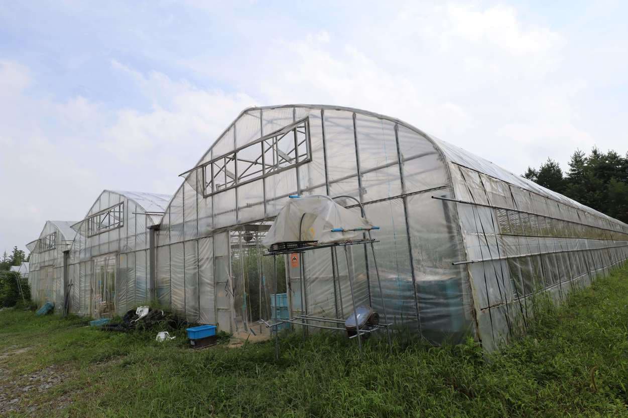 ＪＡいわて平泉　南野さんのハウス