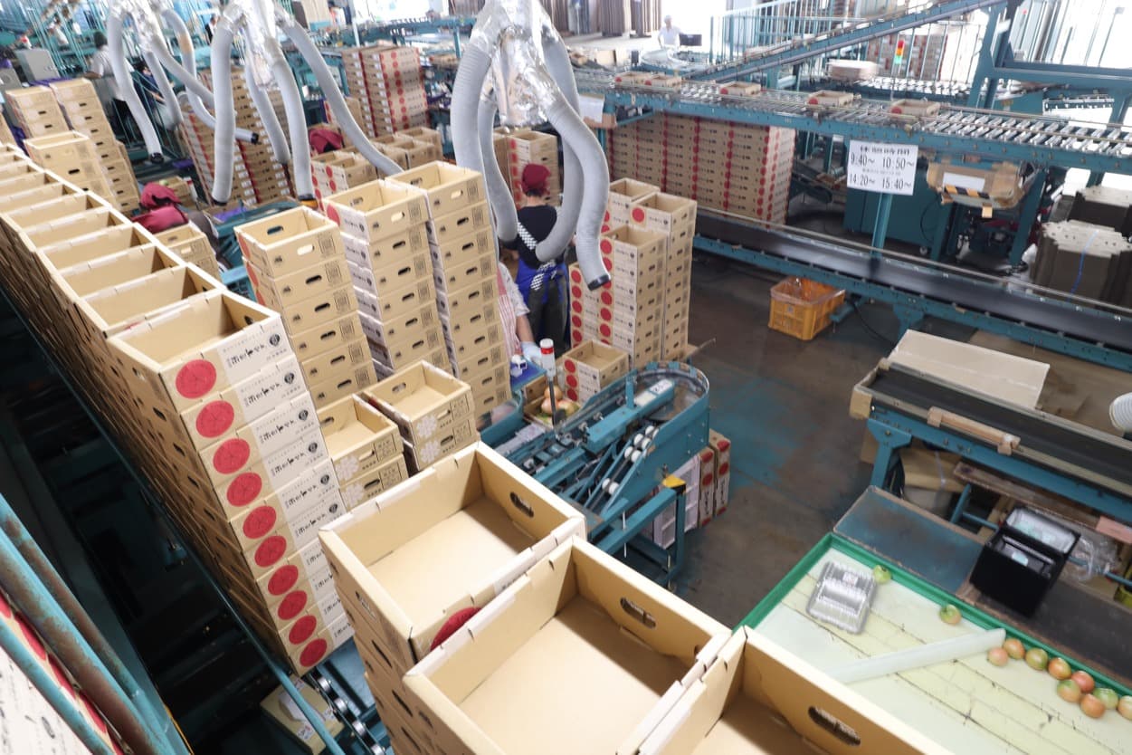 南郷トマト選果場内