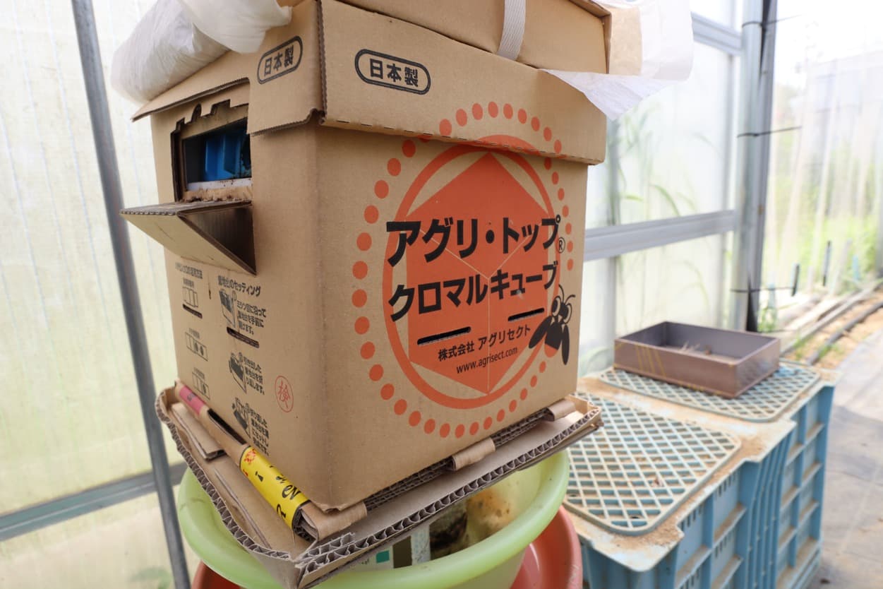 クロマルハナバチの巣箱