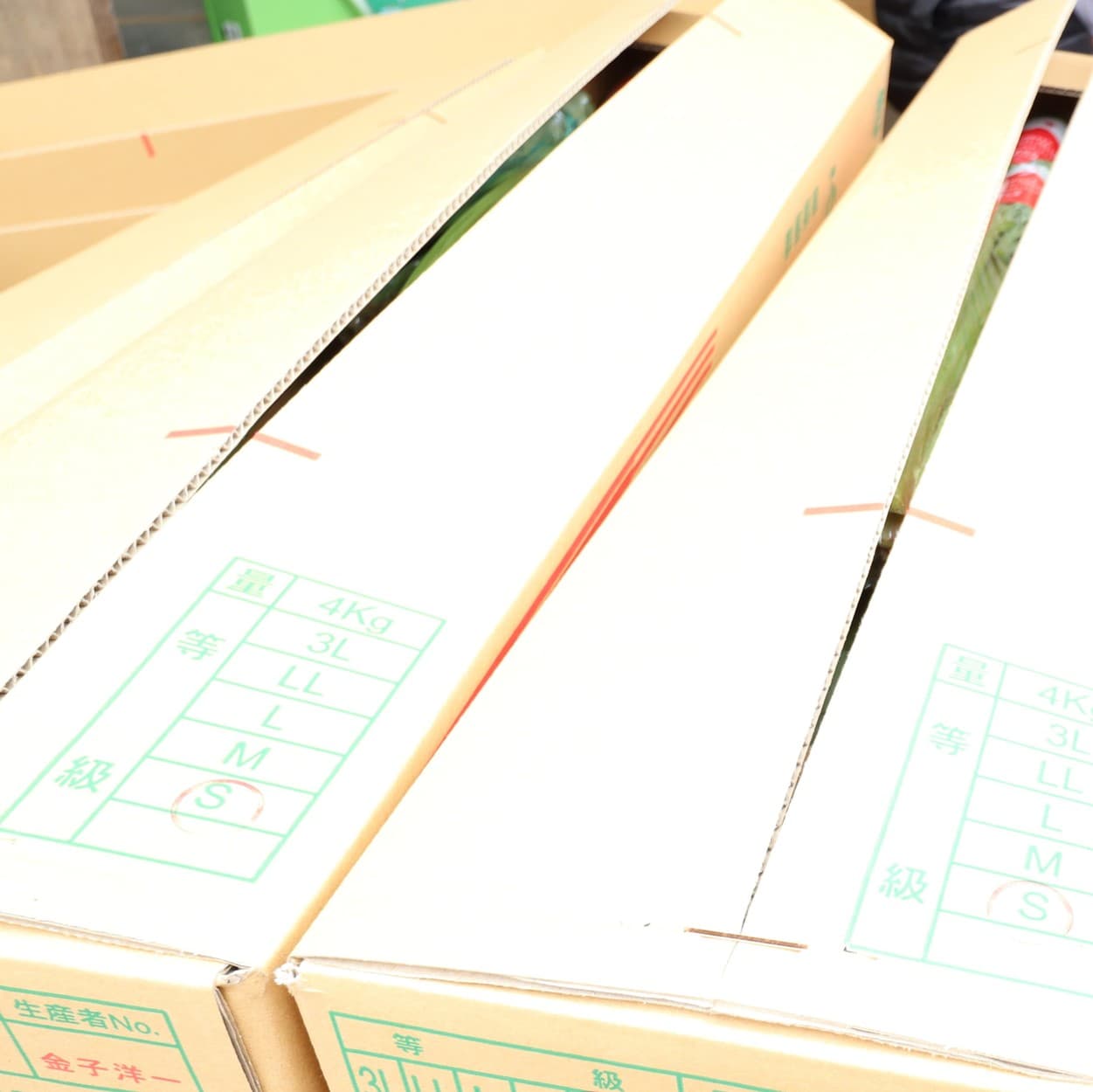 金子農園　ふきの箱