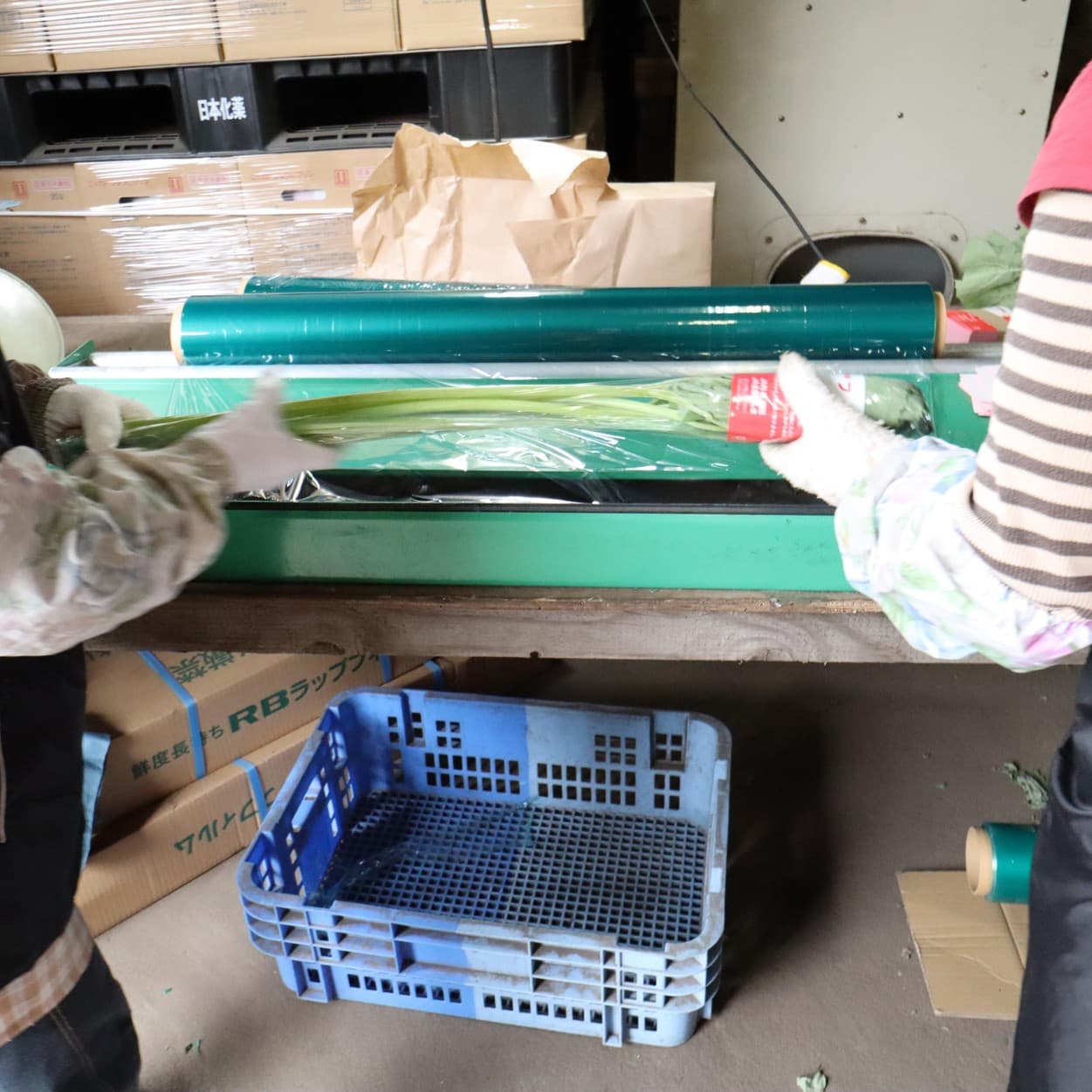 金子農園　ふきのラップ包装