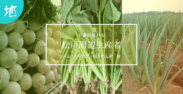 千葉県　松戸周辺生産者