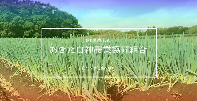 秋田県　ＪＡあきた白神