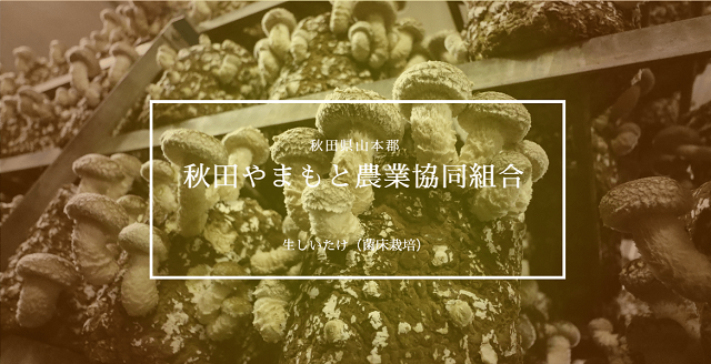 秋田県　ＪＡ秋田やまもと