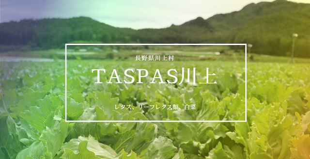 長野県　TASPASS川上