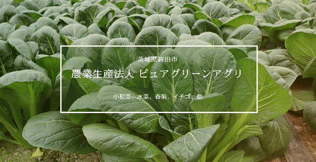 茨城県　ピュアグリーンアグリ