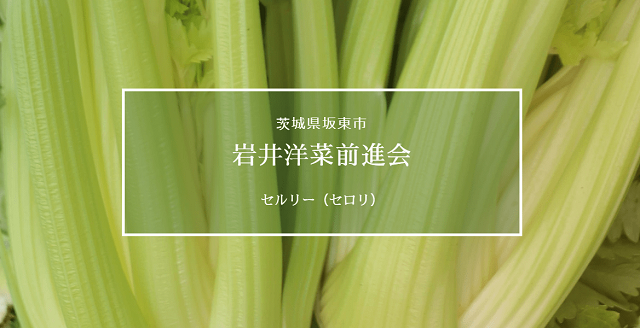 茨城県　岩井洋菜前進会