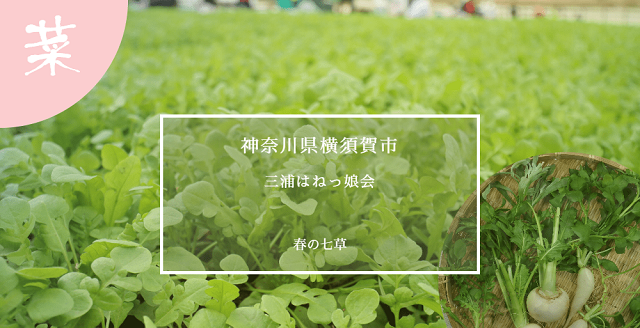 神奈川県　三浦はねっ娘会