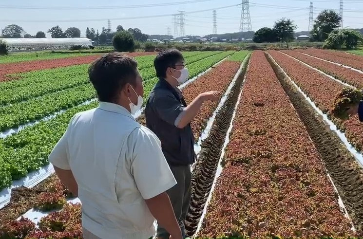 タキイ種苗　試験圃場