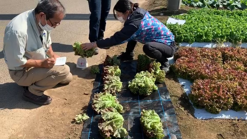 タキイ種苗　試験圃場