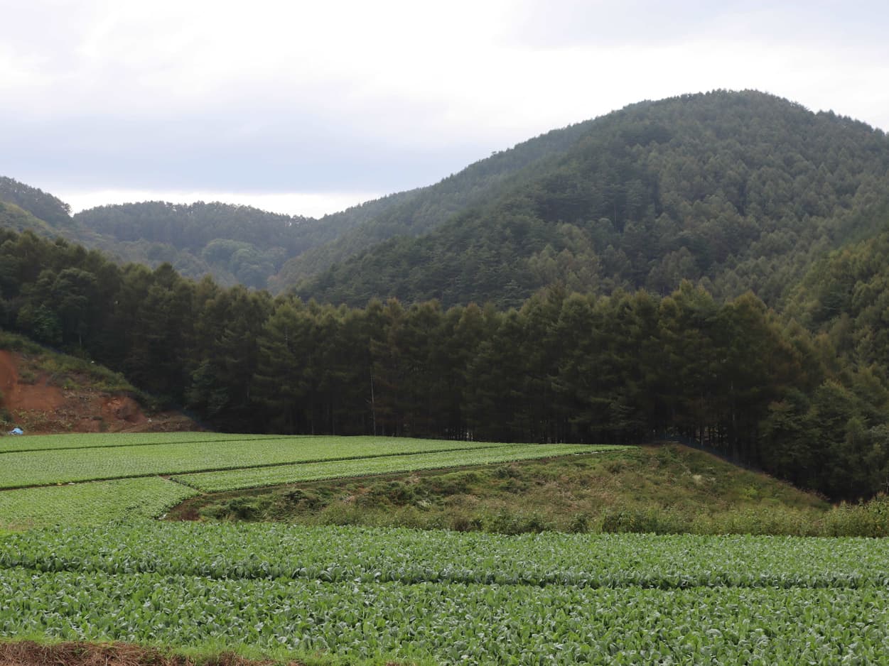 南相木村　坂本貢さんの圃場