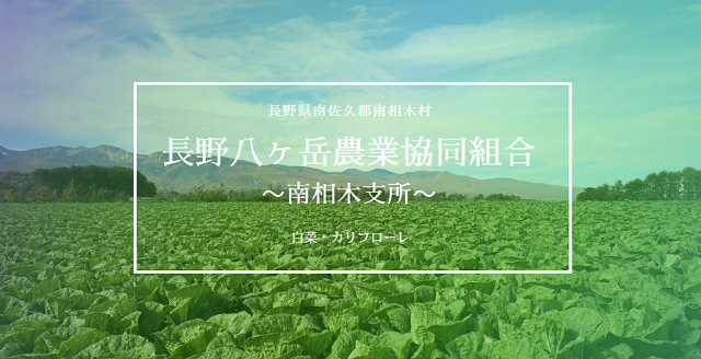 長野県　ＪＡ長野八ヶ岳　南相木支所