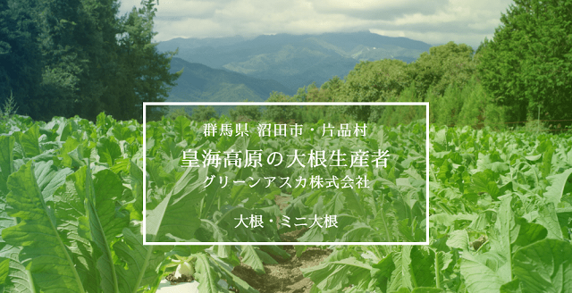 群馬県　皇海高原の大根生産者