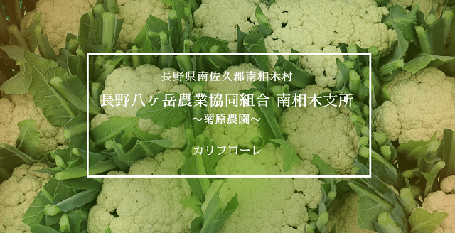 長野県南相木村　カリフローレ