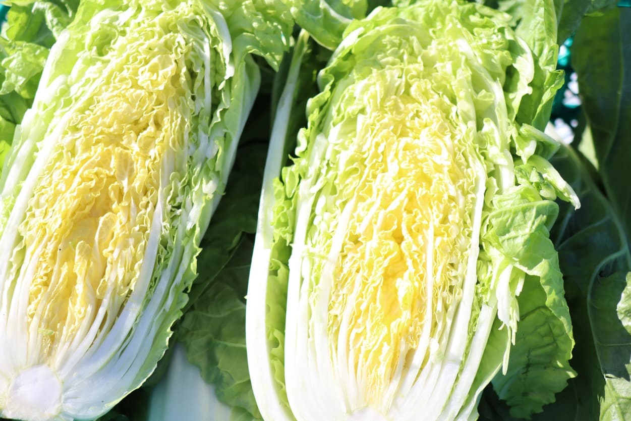 昭和村　タイニーシュシュ