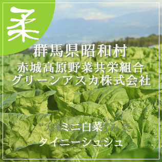 昭和村　タイニーシュシュ